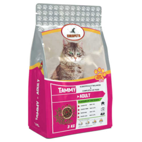 Tammy Cat